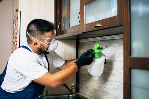 Best Emergency Pest Control  in Carleton, MI
