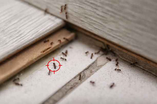 Best Wildlife Control Services  in Carleton, MI