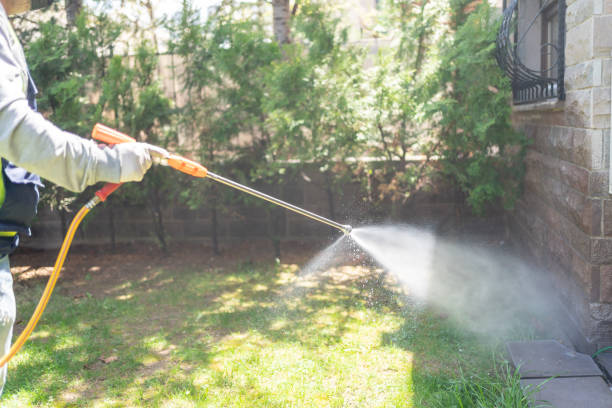 Best Ant Control Services  in Carleton, MI