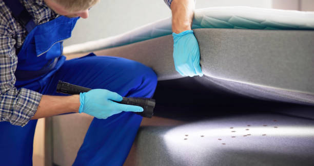 Best Flea Control Services  in Carleton, MI