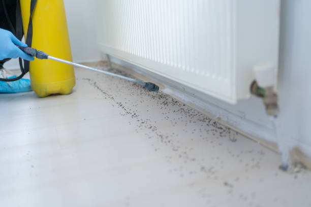 Best Local Pest Control Services  in Carleton, MI